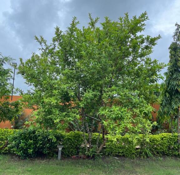 בית מלון כפרי Monroe Stay