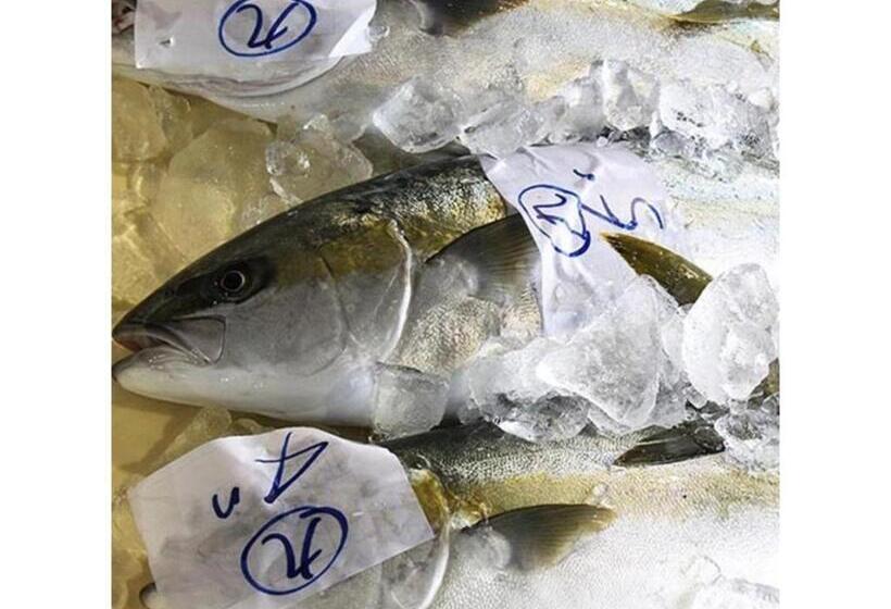 فندق Noto Ushitsuso   Vacation Stay 90659v