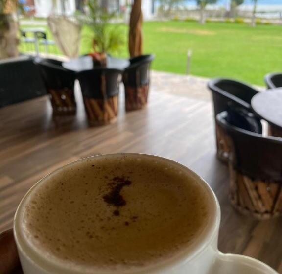 فندق Punta Mirasol