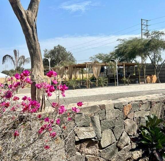 هتل Sol De Ocucaje