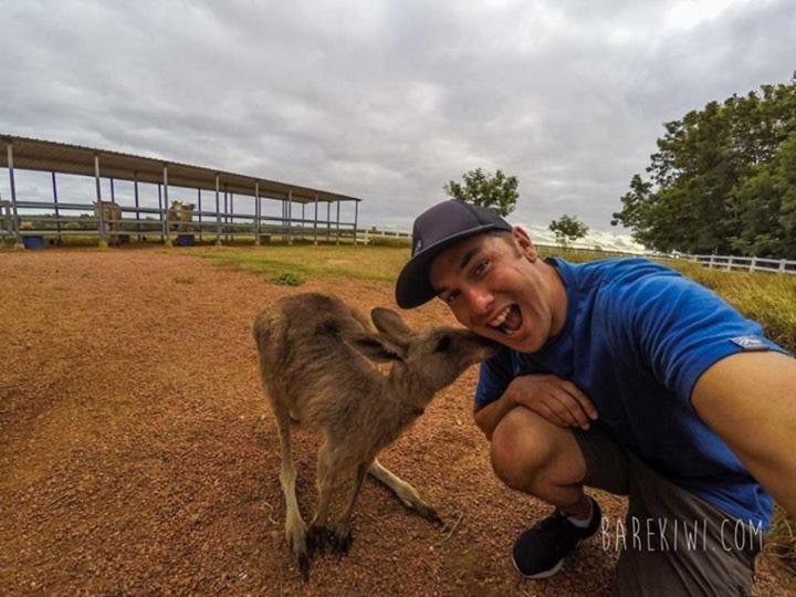 酒店 Studio Apartments The Strand And South Townsville