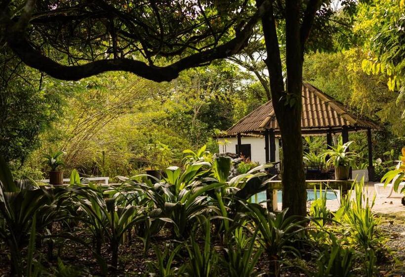 酒店 Villa Blanca Antón