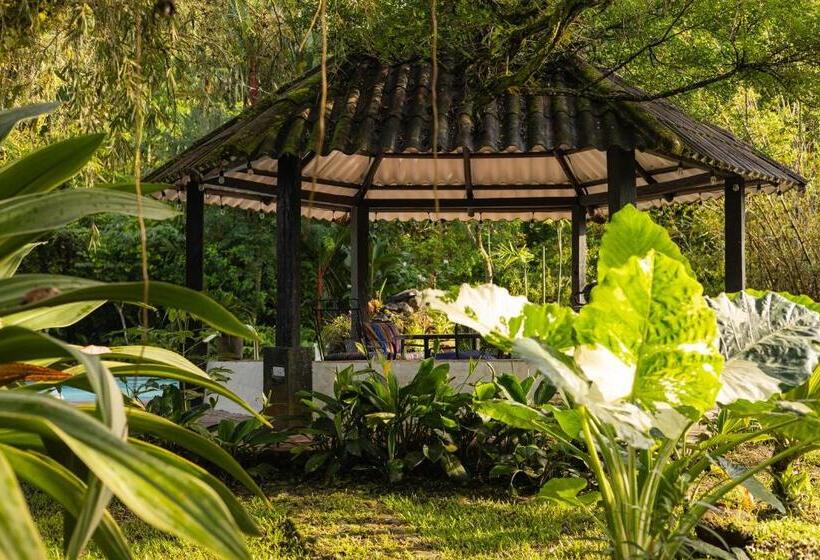 酒店 Villa Blanca Antón