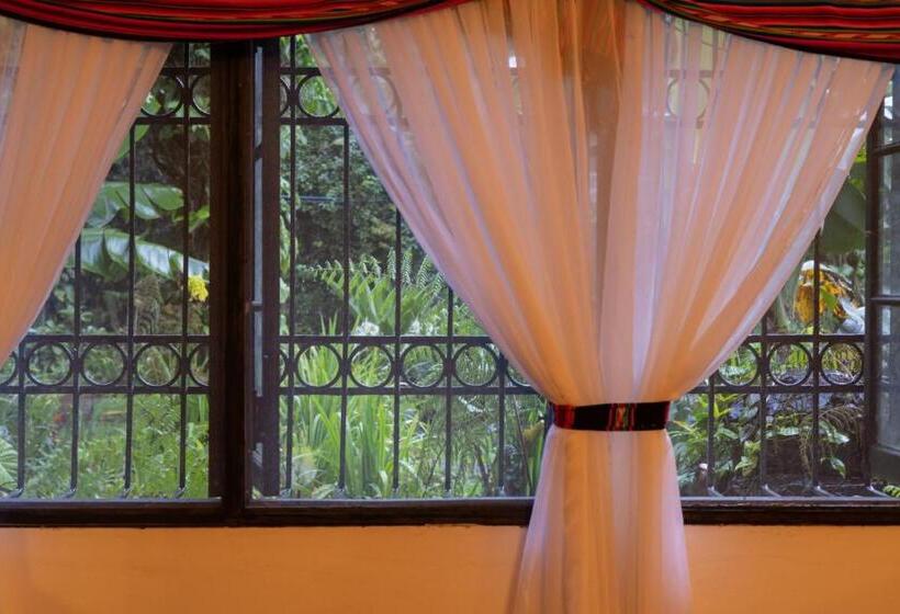 酒店 Villa Blanca Antón