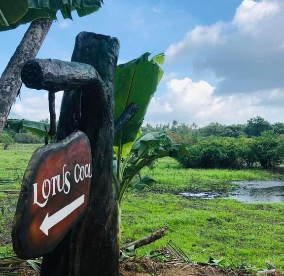 Lotus Cool Hotel And Restaurant