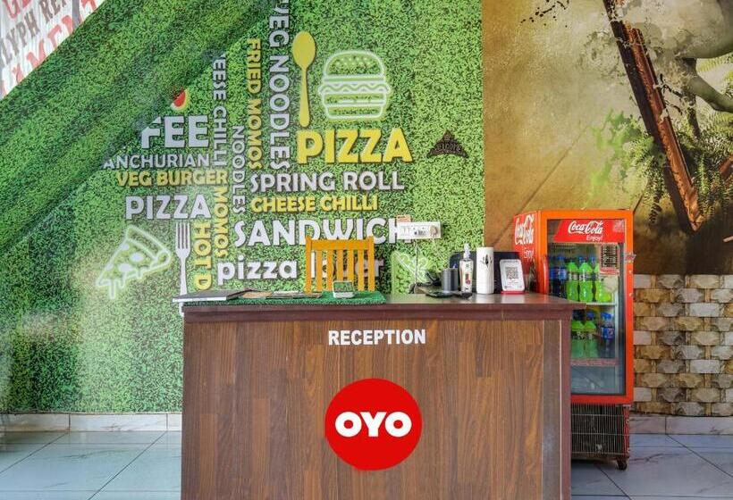 Oyo Hotel Riyasat Inn