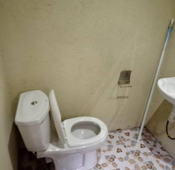 بنسيون 535 Events And Guest House