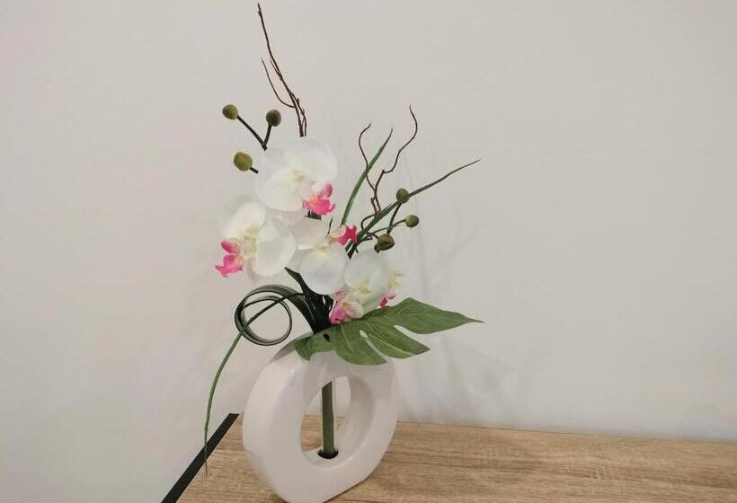 펜션 Alojamento Andorinhas