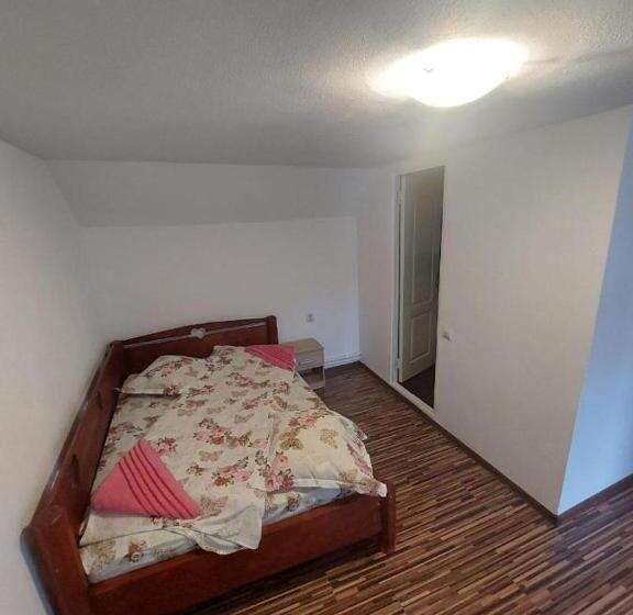 膳宿费 Casa Alexandra Junior