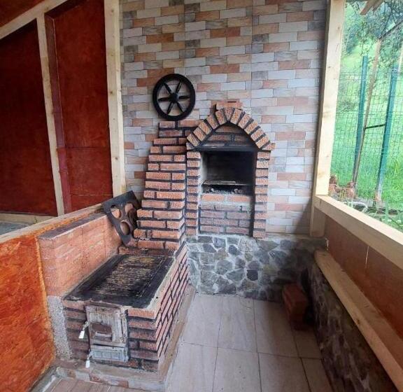 膳宿费 Casa Alexandra Junior