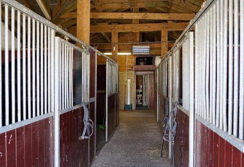 ペンション Hoeve Dilserbos