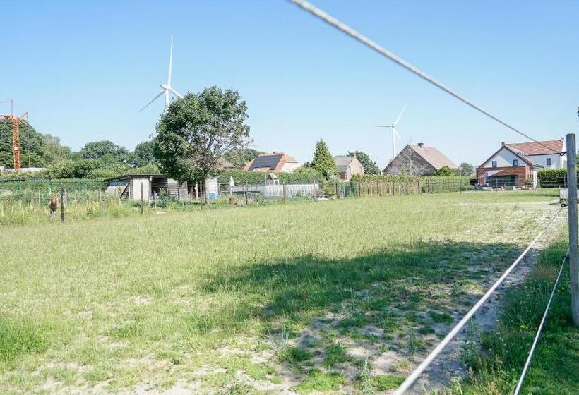 ペンション Hoeve Dilserbos