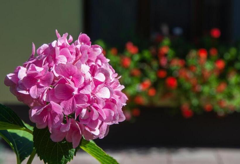 Пансион Penzion Hájenka