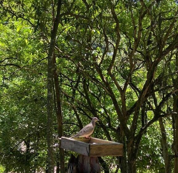 펜션 Pietra Rossa Vale Dos Vinhedos