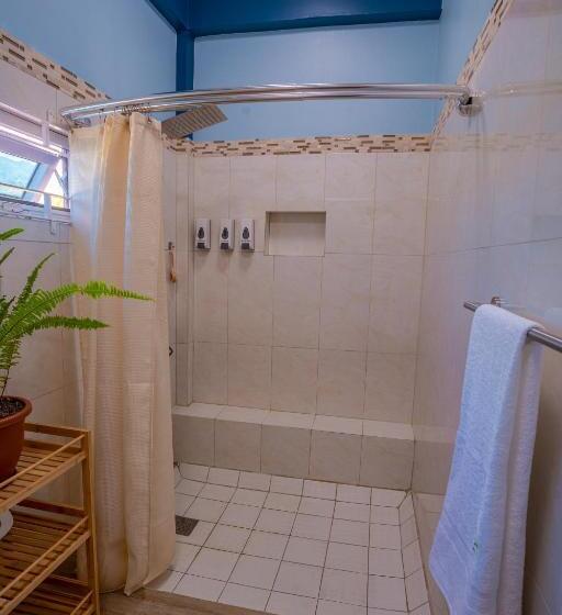 بنسيون The Green House On Bedford Street   Portsmouth