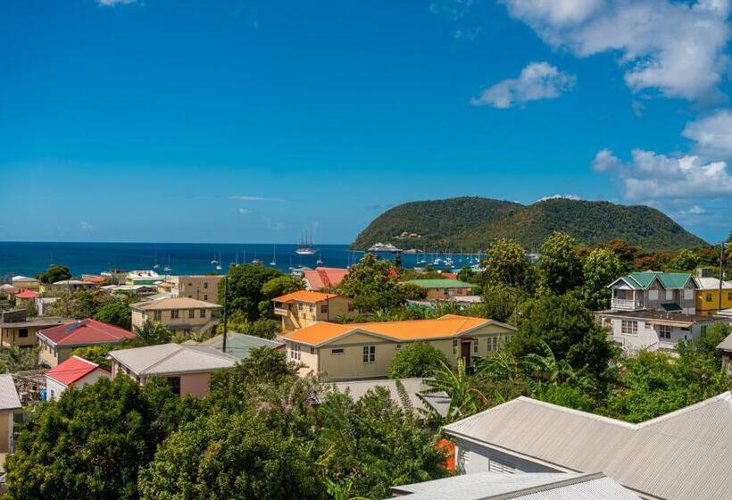 بنسيون The Green House On Bedford Street   Portsmouth