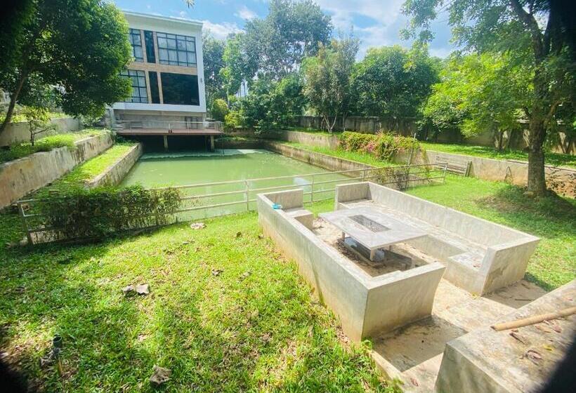 פנסיון Treeside Guest House Resort