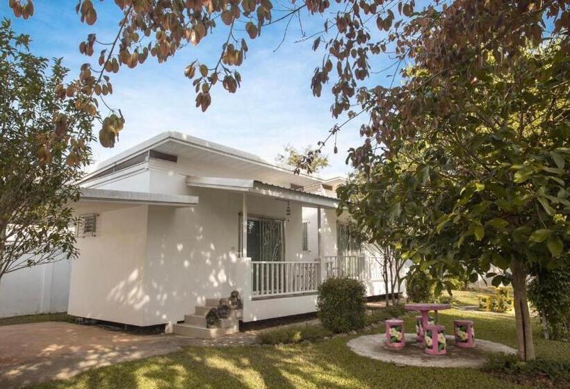 Pensjonat Treeside Guest House Resort