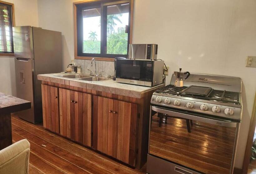 بنسيون Turtle Suite