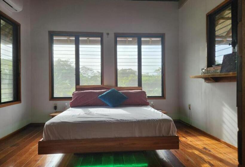 بنسيون Turtle Suite