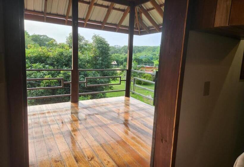 بنسيون Turtle Suite