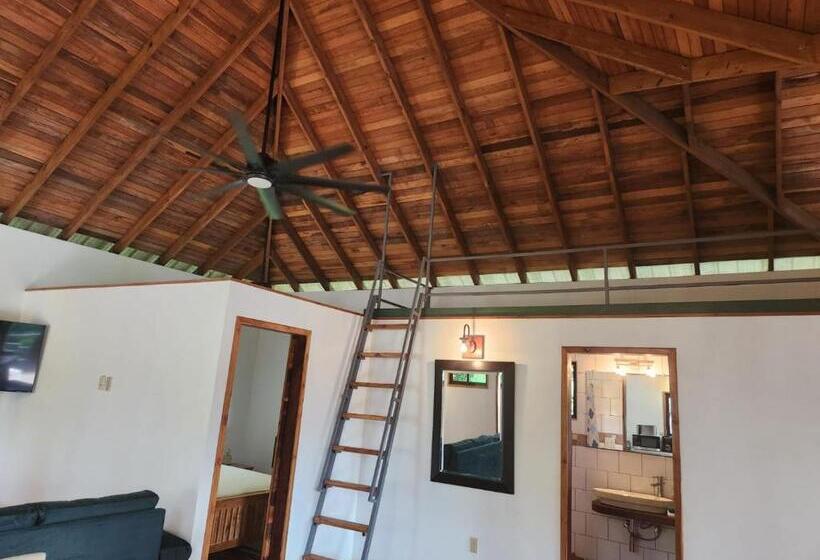 بنسيون Turtle Suite