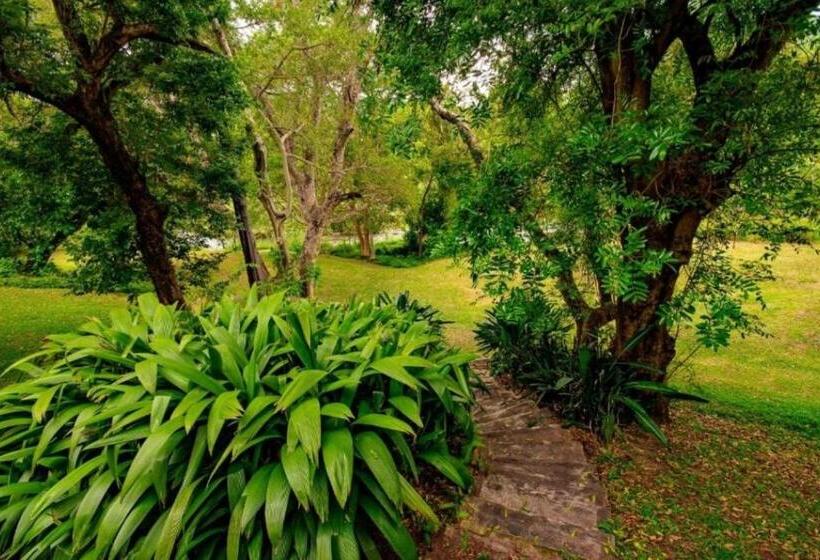 Unit P09/15 Dec @sanbonani Resort & Spa