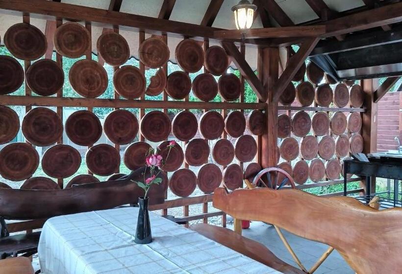 Общежитие Ardilla