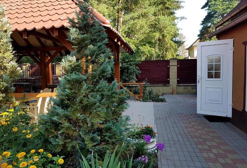 Общежитие Ardilla