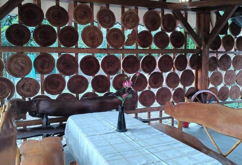 Общежитие Ardilla