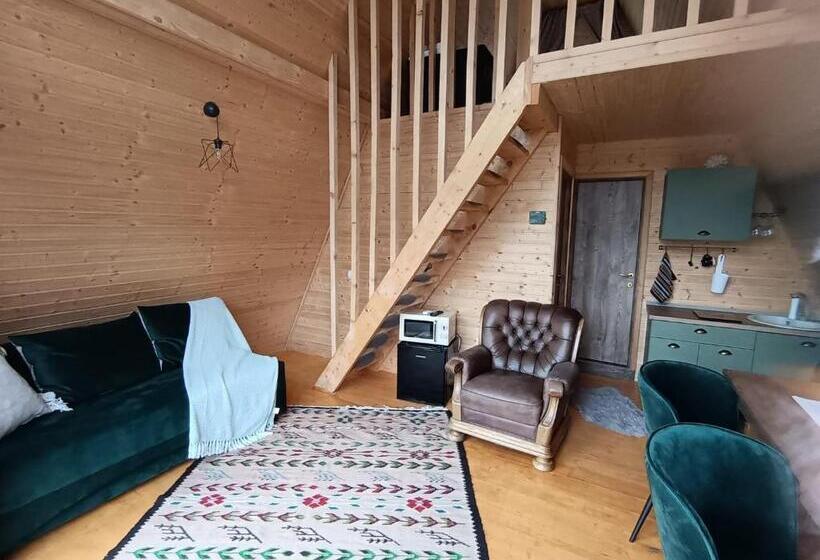 הוסטל Carpatina Rustic House