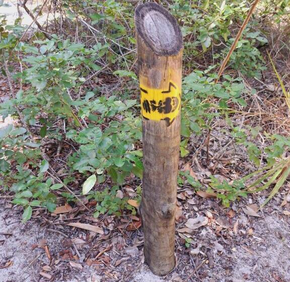 הוסטל Itaúnas Pousada Nossa Palhoça