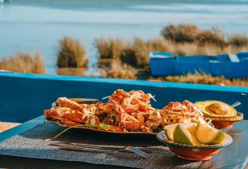 فندق صغير Lacasa Latifa