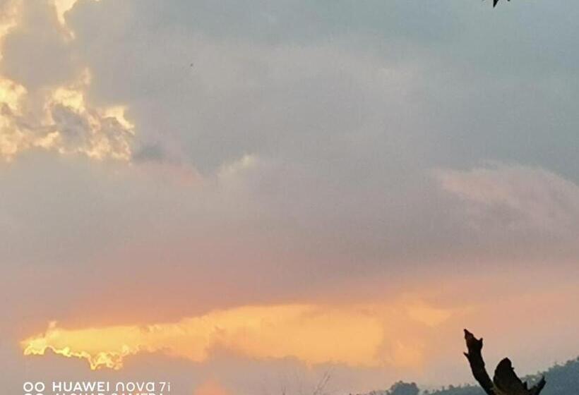 فندق صغير Nineart Resort