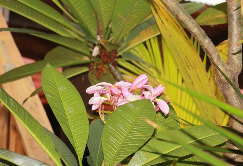 Atlas Hostel Malapascua