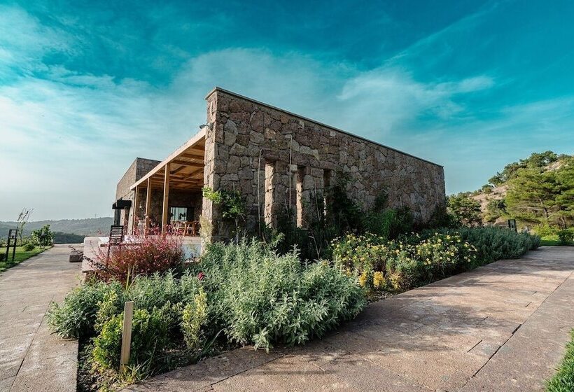 ベッドアンドブレックファースト Cabras Kazdağları