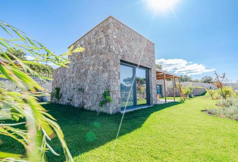 ベッドアンドブレックファースト Cabras Kazdağları