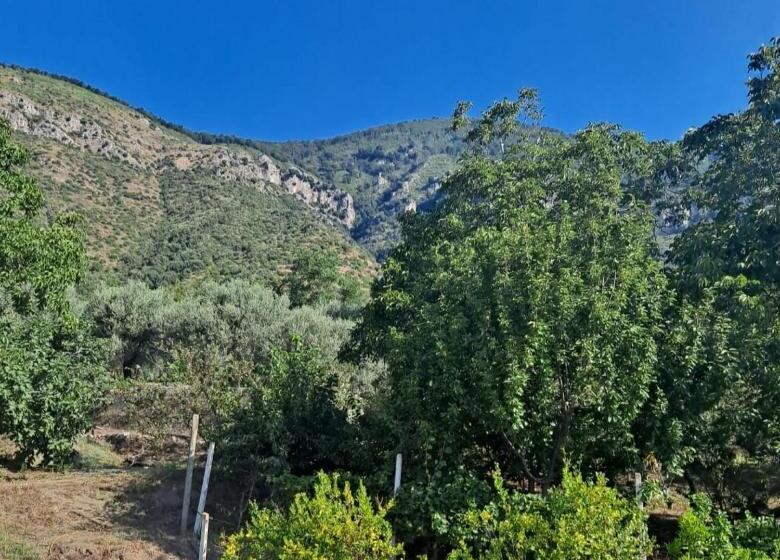 Bed And Breakfast Grotta Dell Olio