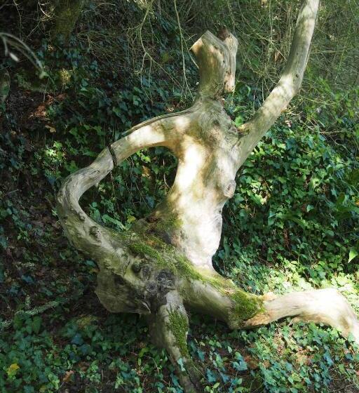 Bed and Breakfast Hameau De La Brousse