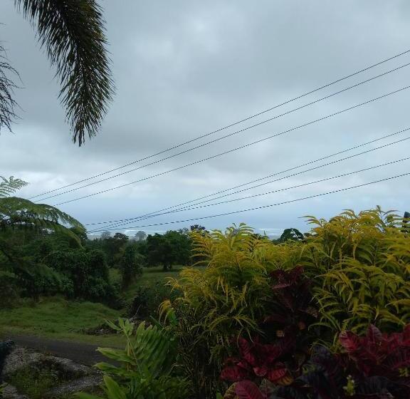 تختخواب و صبحانه Oceanview Mountain Lodge