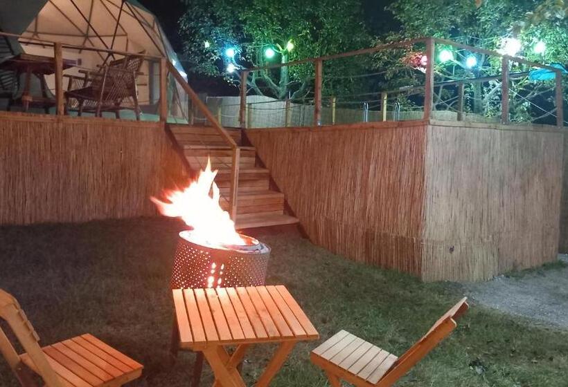 ベッドアンドブレックファースト Sapanca Palmera Dome