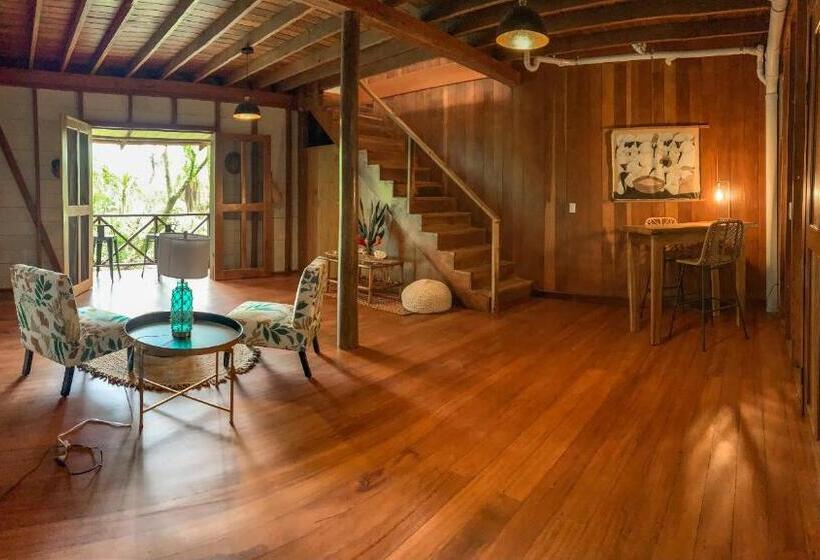 مبيت وإفطار The Lodge At Punta Rica  Hilltop Eco Lodge With Views & Pool