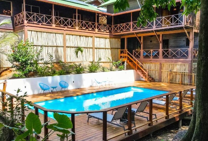 مبيت وإفطار The Lodge At Punta Rica  Hilltop Eco Lodge With Views & Pool