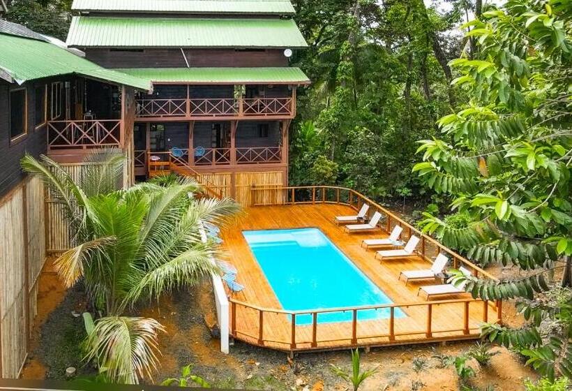 ベッドアンドブレックファースト The Lodge At Punta Rica  Hilltop Eco Lodge With Views & Pool