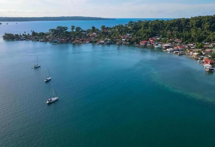 مبيت وإفطار The Lodge At Punta Rica  Hilltop Eco Lodge With Views & Pool