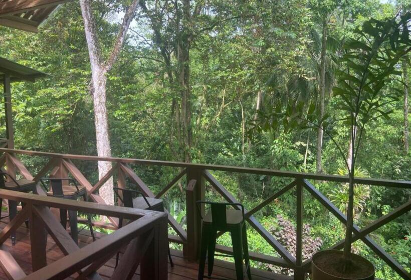 مبيت وإفطار The Lodge At Punta Rica  Hilltop Eco Lodge With Views & Pool