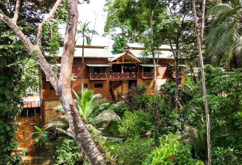 ベッドアンドブレックファースト The Lodge At Punta Rica  Hilltop Eco Lodge With Views & Pool