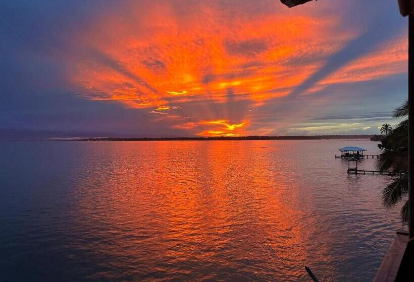 مبيت وإفطار The Lodge At Punta Rica  Hilltop Eco Lodge With Views & Pool