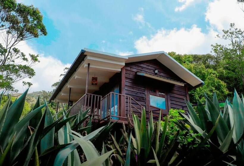 Bed and Breakfast Wild Orchid