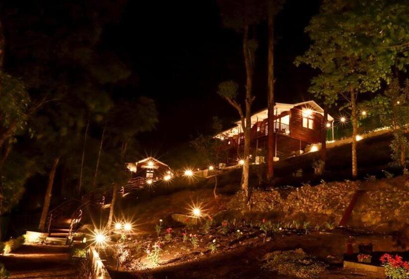 Bed and Breakfast Wild Orchid